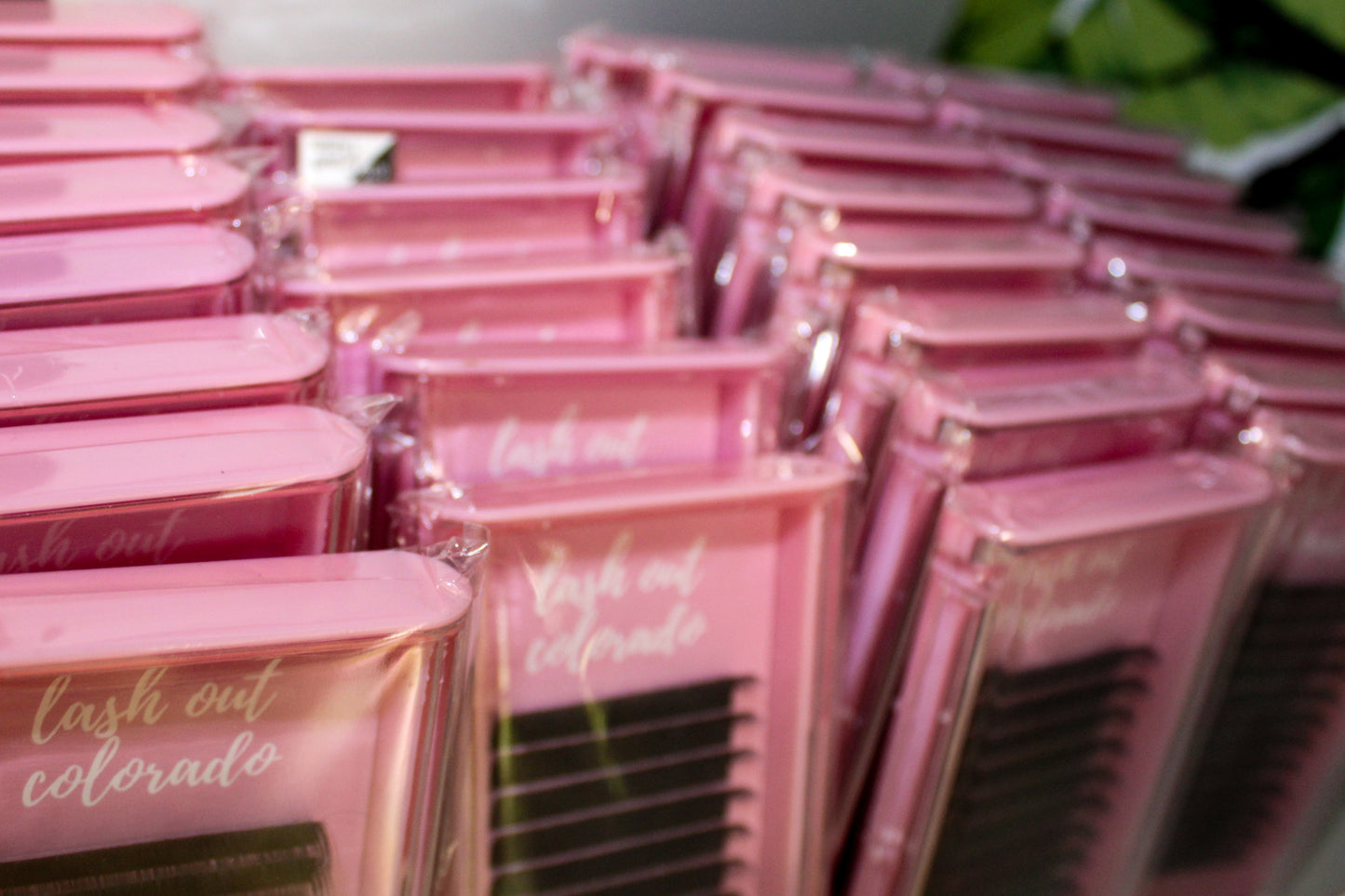 Buy Cashmere Lash Extensions Online